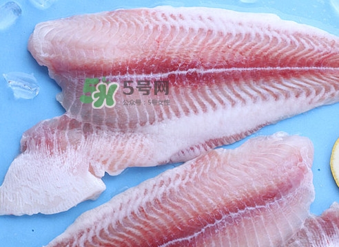 龍利魚是海魚嗎？龍利魚是海鮮嗎