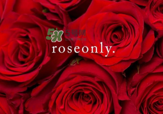 2017七夕禮盒roseonly多少錢？roseonly巨型玫瑰禮盒多少錢？
