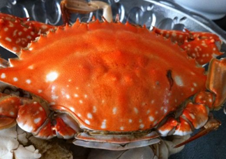 梭子蟹可以清蒸嗎？梭子蟹蒸還是煮？