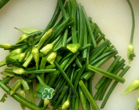 韭菜苔孕婦能吃嗎？孕婦可以吃韭菜苔嗎