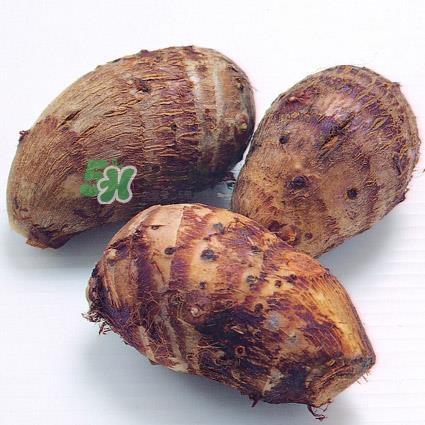 中秋節(jié)為什么吃芋頭？中秋節(jié)吃芋頭的來源