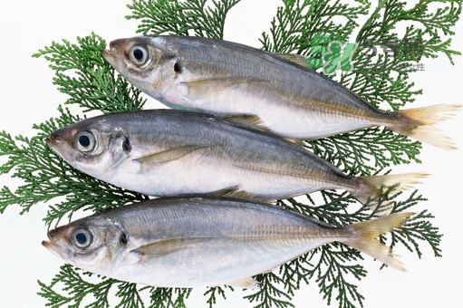 龍利魚是鱈魚嗎？龍利魚和鱈魚哪個好吃