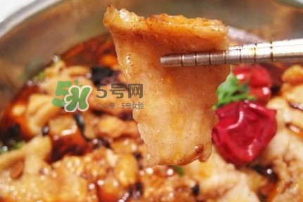 龍利魚有刺嗎？龍利魚有魚鱗嗎