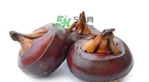 野荸薺怎么吃？野荸薺的食用功效