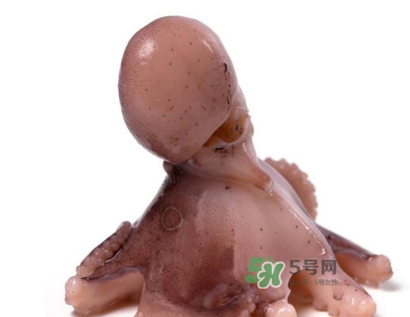 章魚怎么處理？章魚怎么殺
