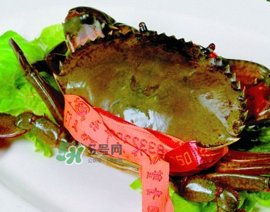 青蟹能放幾天？青蟹能活多久？