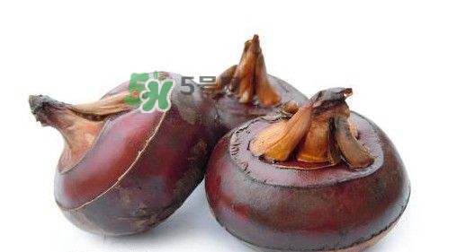 吃荸薺有什么好處？吃荸薺的禁忌
