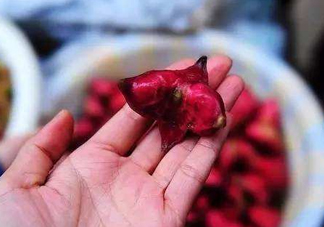 紅菱怎么吃？吃紅菱有什么好處？