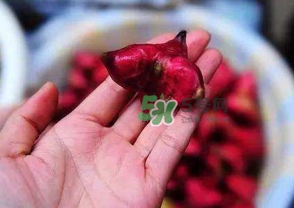 紅菱怎么吃？吃紅菱有什么好處？