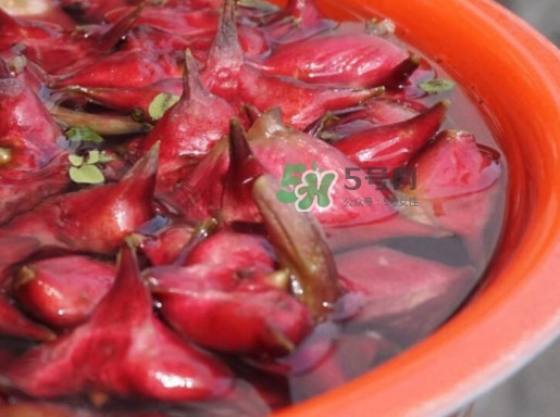 紅菱什么時(shí)候上市？什么時(shí)候采紅菱