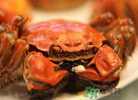 太湖蟹什么時候上市？太湖蟹幾月份有