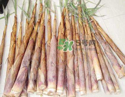 苦筍是什么竹子？苦筍是發(fā)物嗎