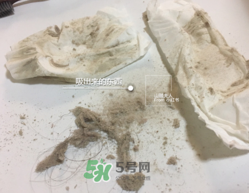 除螨儀真的能除螨嗎？除螨儀到底有沒有用？