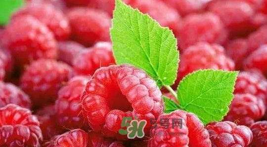 pola莓果酵素怎么吃？pola紅莓酵素怎么樣？