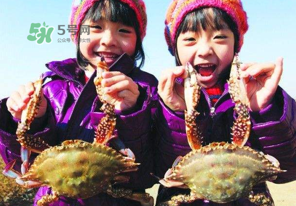 青島梭子蟹多少錢一斤？青島梭子蟹什么時候上市？