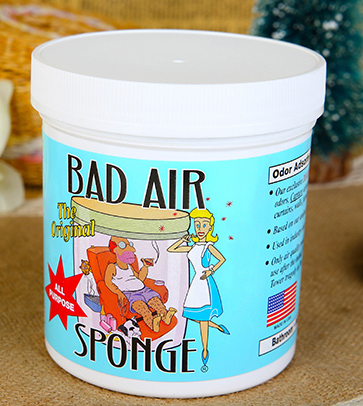 Bad Air Sponge有用嗎？Bad Air Sponge效果如何？