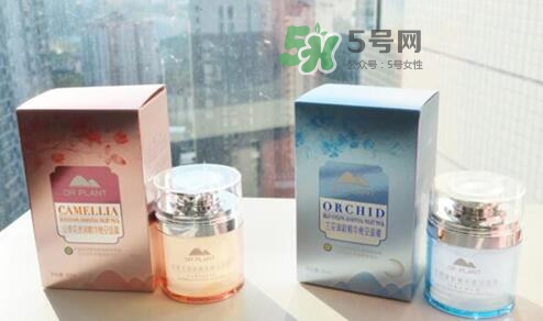 植物醫(yī)生睡眠面膜怎么樣？植物醫(yī)生晚安面膜價格