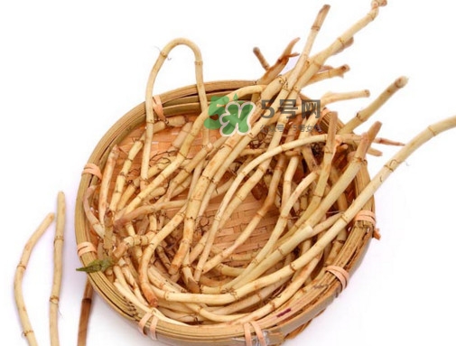 折耳根有毒嗎？折耳根有毒吃了會傷腎？