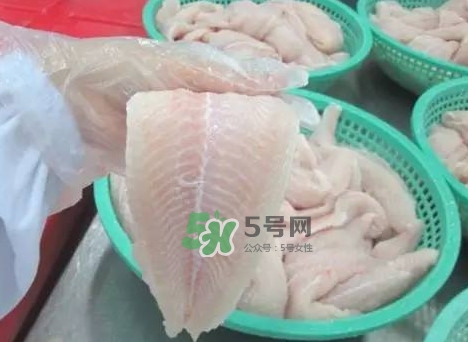 巴沙魚有刺嗎？巴沙魚有寄生蟲嗎