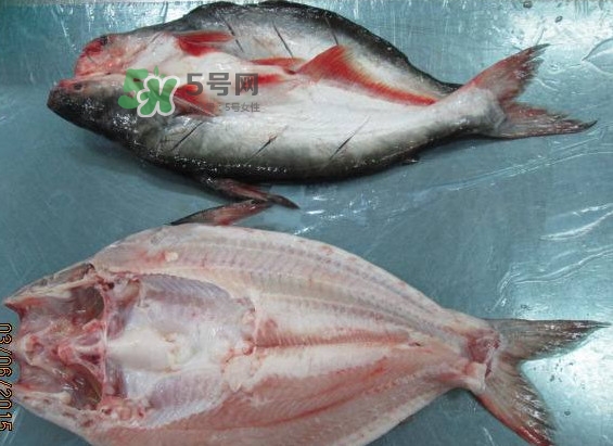 巴沙魚是鯰魚嗎？巴沙魚是海魚嗎