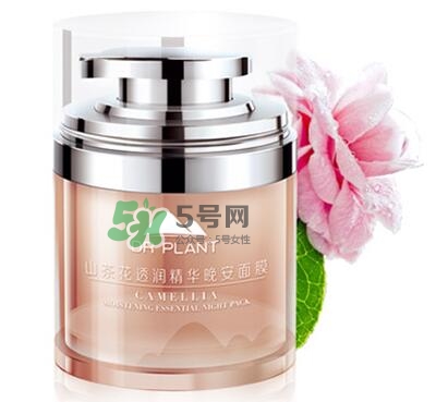 植物醫(yī)生睡眠面膜怎么樣？植物醫(yī)生晚安面膜價格