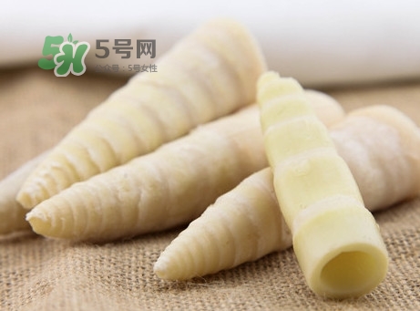 苦筍是什么竹子？苦筍是發(fā)物嗎