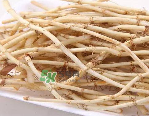 經(jīng)常吃折耳根有什么好處？折耳根的用法用量