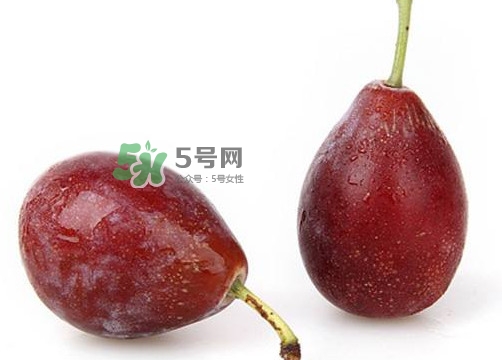 烏梅是西梅嗎？烏梅和西梅的區(qū)別
