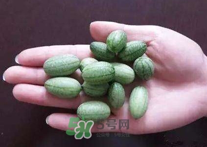 拇指西瓜怎么吃？拇指西瓜好吃嗎
