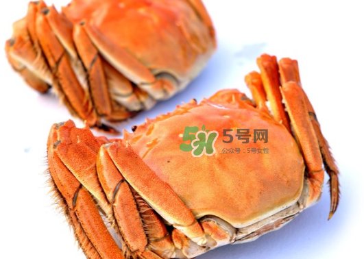 板蟹蒸多長時(shí)間？板蟹蒸多久時(shí)間能熟？