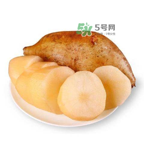 雪蓮果怎么挑？雪蓮果怎么儲存方法？