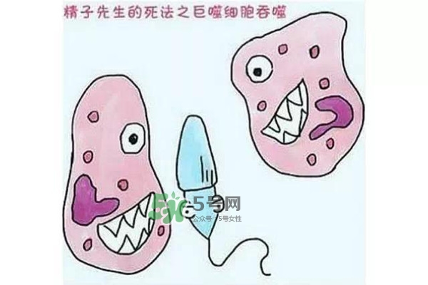 殺精的食物有哪些？吃什么東西殺精？
