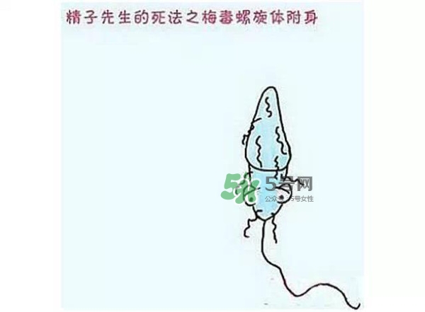殺精的食物有哪些？吃什么東西殺精？
