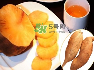 雪蓮果怎么挑？雪蓮果怎么儲存方法？