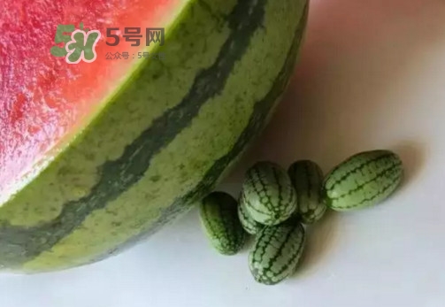 拇指西瓜什么時(shí)候上市？拇指西瓜什么時(shí)候成熟