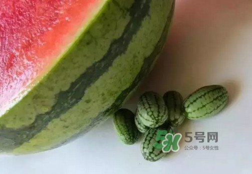 拇指西瓜多少錢一斤？拇指西瓜一口能吃幾個(gè)？