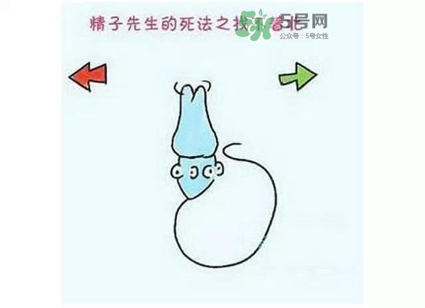 殺精的食物有哪些？吃什么東西殺精？