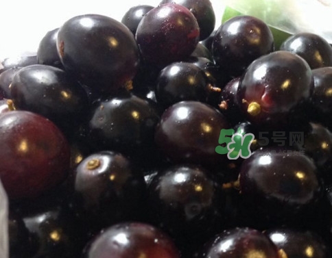 烏梅是綠色的正常嗎？烏梅是綠色的能吃嗎