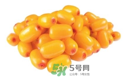 沙棘怎么吃？沙棘果的食用禁忌