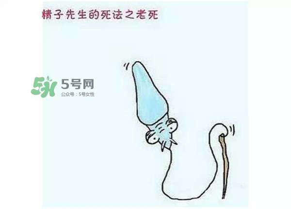 殺精的食物有哪些？吃什么東西殺精？
