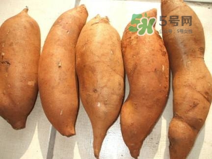 雪蓮果是水果嗎？雪蓮果是什么季節(jié)的水果？