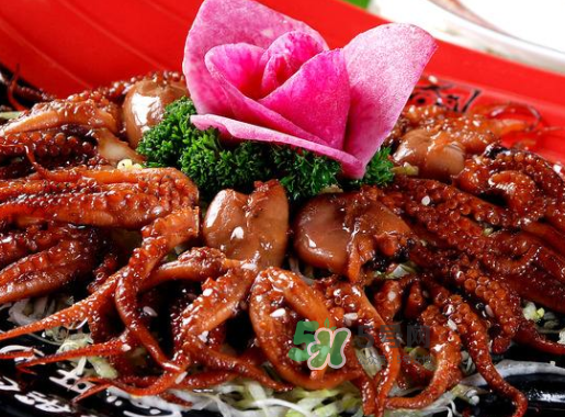 八爪魚什么地方不能吃？八爪魚哪里不能吃？