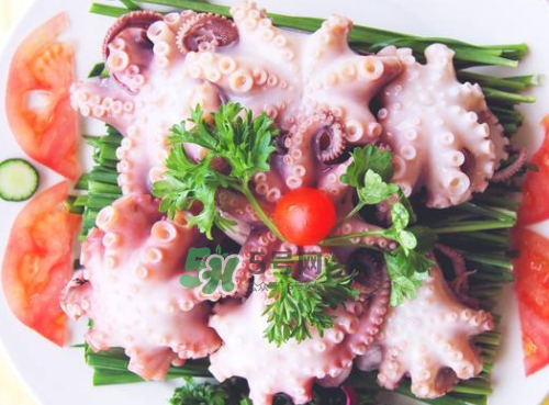 八爪魚什么地方不能吃？八爪魚哪里不能吃？