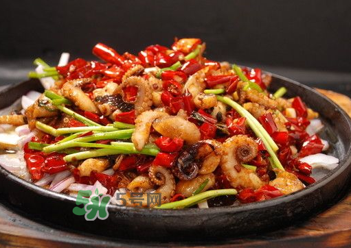 八爪魚煮多久才好？八爪魚需要煮多久？