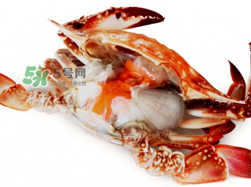 吃梭子蟹會(huì)胖嗎？梭子蟹吃了會(huì)胖嗎？ 