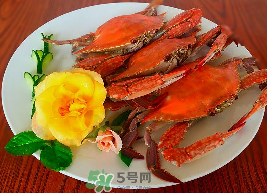 吃梭子蟹會(huì)胖嗎？梭子蟹吃了會(huì)胖嗎？ 