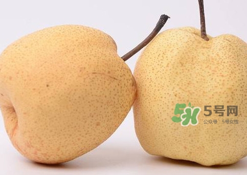 碭山梨什么時候成熟？碭山梨幾月份成熟
