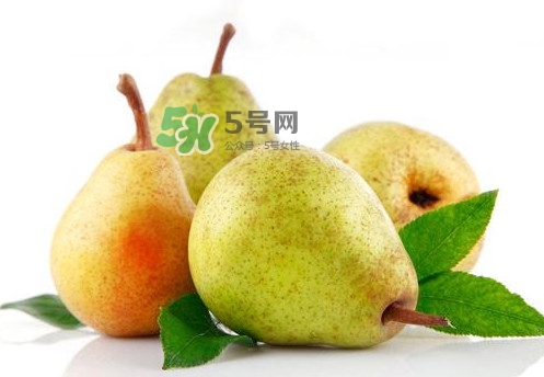梨子是什么季節(jié)的水果？梨子什么季節(jié)吃最好