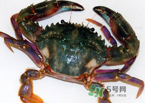螃蟹腿藍色的是什么？螃蟹腿為什么是藍色？