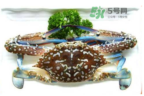 螃蟹腿藍色的是什么？螃蟹腿為什么是藍色？